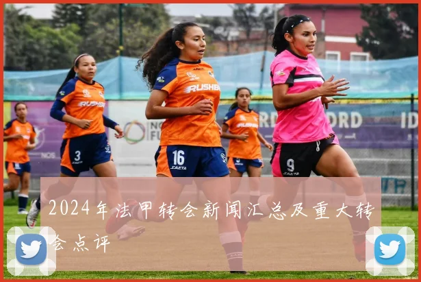 2024年法甲转会新闻汇总及重大转会点评