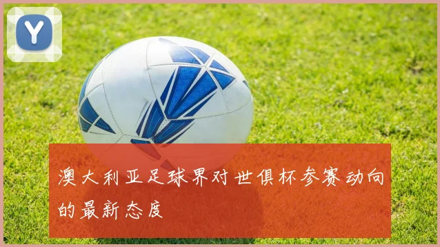 澳大利亚足球界对世俱杯参赛动向的最新态度