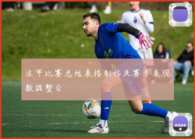 法甲比赛总结表格制作及赛季表现数据整合